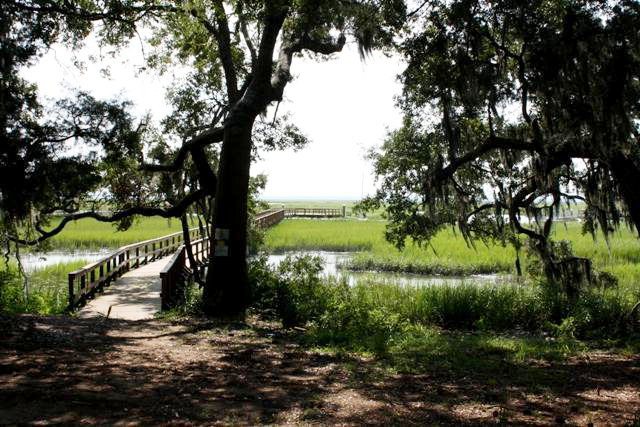 Lot 5 Spartina Way