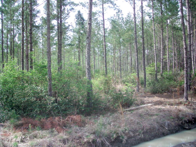 Lot 12 Groover Tract