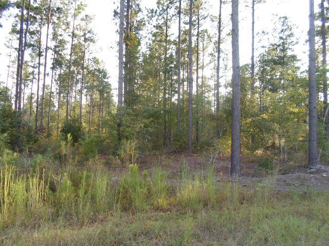 Lot 3 Crossway Pines