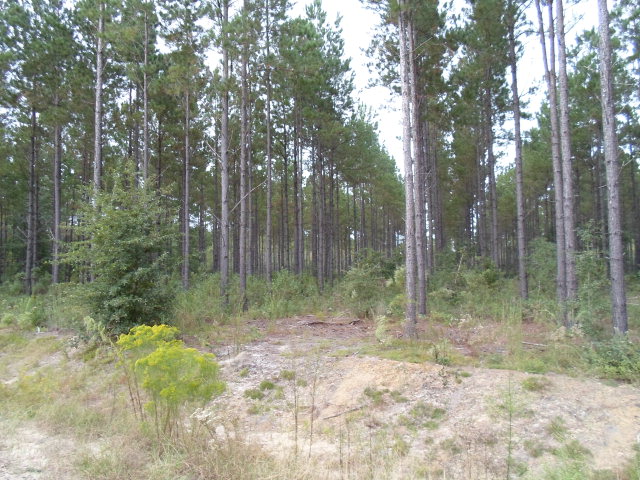 Lot 22 Groover Tract