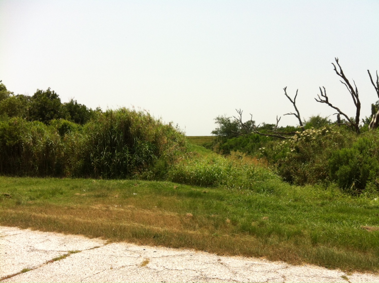 HWY 11 TO THE MISSISSIPPI RIVER