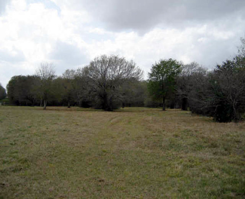 2007 EAGLE NEST ACRES DR