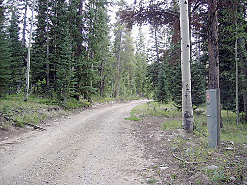 (tbd) USFS Road #490