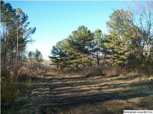 5255 KELLY CREEK RD 37.5 AC