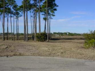 Lot 19 20 21   15405 Branigar Road