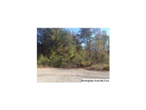 22860 CHARLES COLLIER LN LOT 5