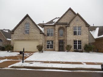 4672 Orange Tulip Dr