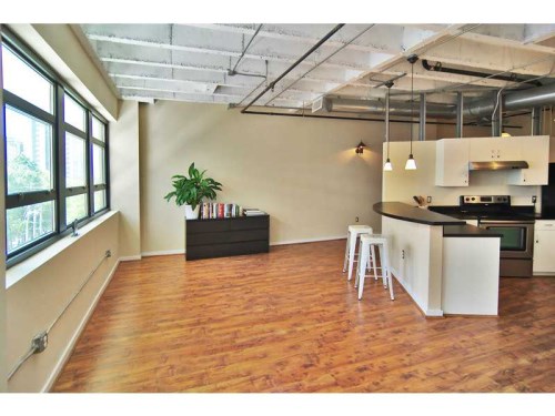 Unit 333 - 878 Peachtree Street