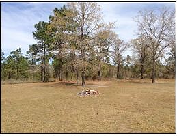 Wood Rd - Home On 5 Acres