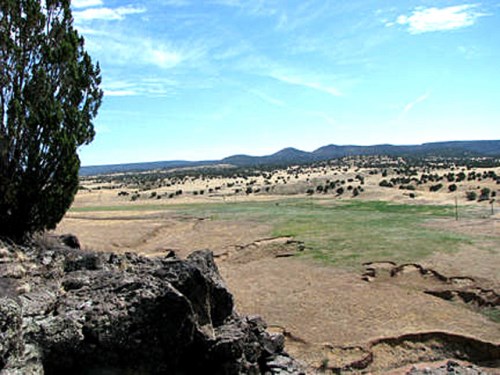 146 Off Of Williamson Valley Road