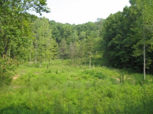 30 AC. WILLOW GROVE HWY.