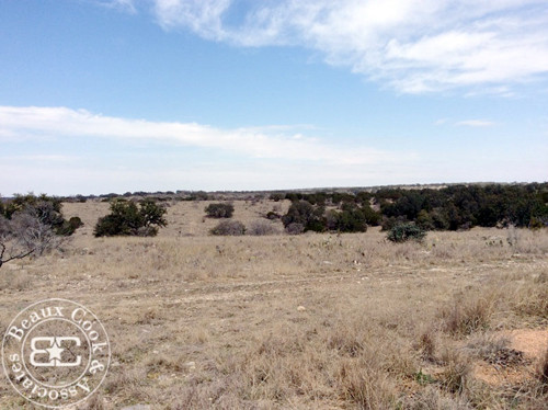 150 acres - Mason County - CPR Ranch