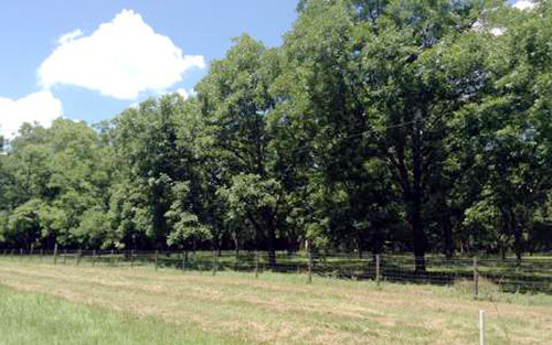 40AC COUNTY ROAD 49