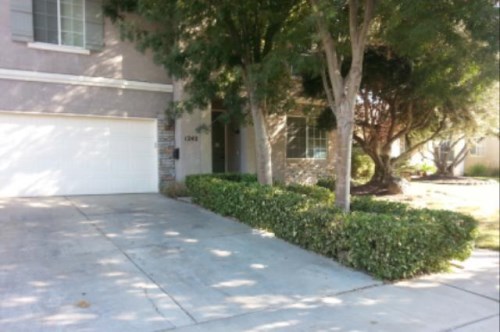 1242 Syrah Avenue