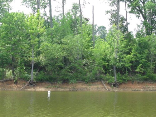 Lot 18 Piney Lane