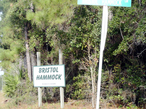 0 Bristol Hammock Cir, LOT 31