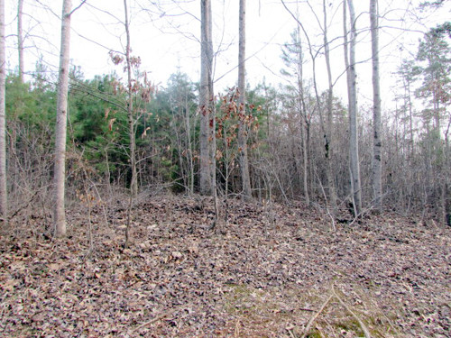 Lot 3 Occoneechee Lane