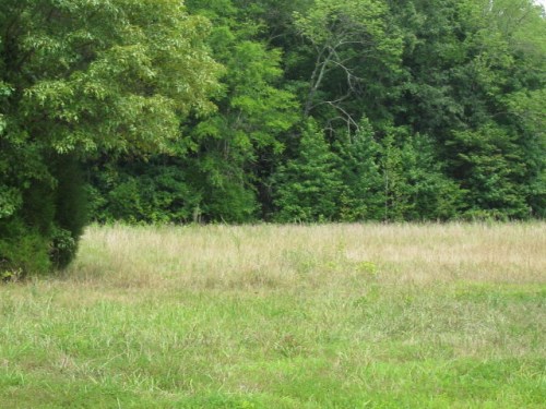 Lot 21 Piney Lane