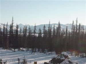 L8 B3 Caribou Homestead Loop